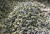 High Quality Tiguanyin Green Tea Milk 
